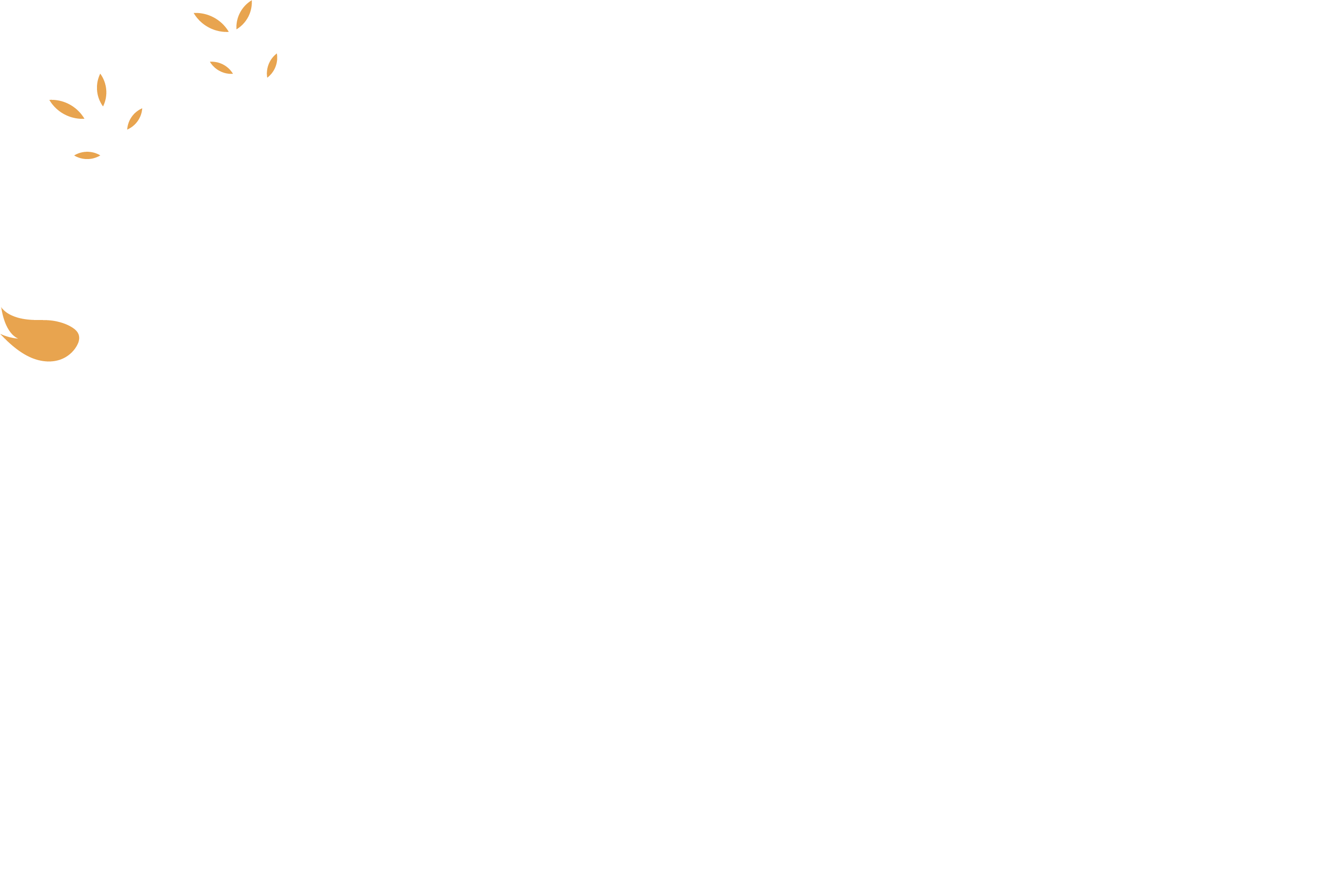 dr-filler.com